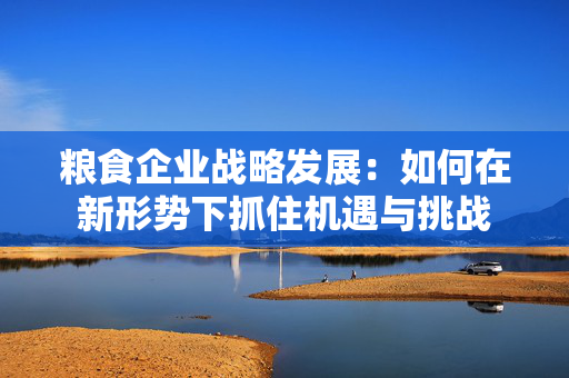 粮食企业战略发展：如何在新形势下抓住机遇与挑战