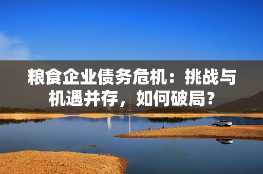 粮食企业债务危机：挑战与机遇并存，如何破局？