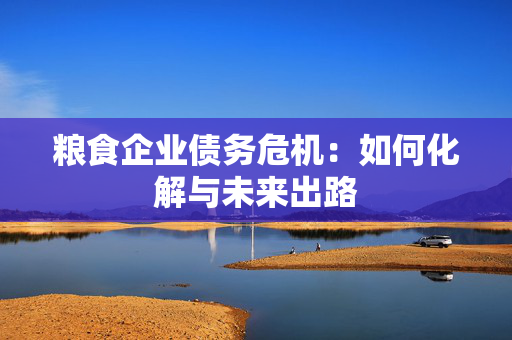粮食企业债务危机：如何化解与未来出路