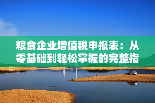 粮食企业增值税申报表：从零基础到轻松掌握的完整指南
