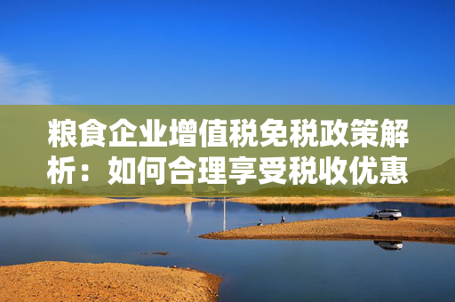 粮食企业增值税免税政策解析：如何合理享受税收优惠？