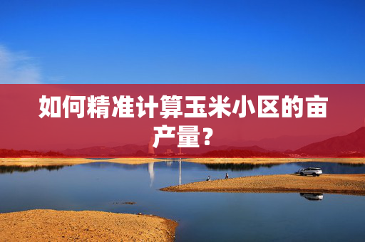 如何精准计算玉米小区的亩产量？