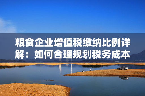 粮食企业增值税缴纳比例详解：如何合理规划税务成本？
