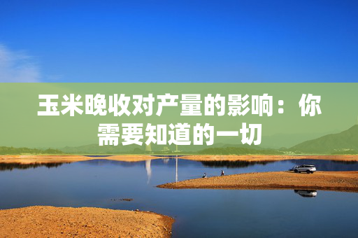 玉米晚收对产量的影响：你需要知道的一切
