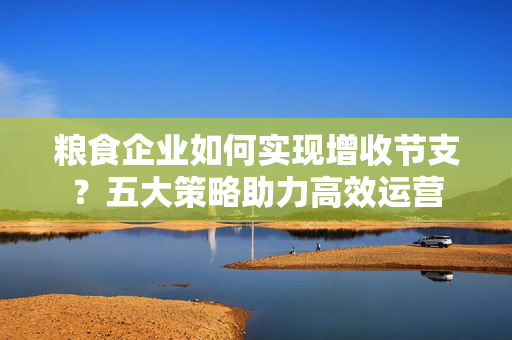 粮食企业如何实现增收节支？五大策略助力高效运营