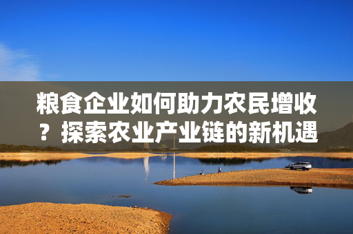粮食企业如何助力农民增收？探索农业产业链的新机遇
