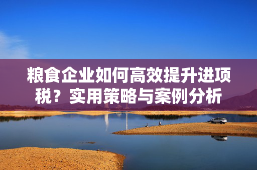 粮食企业如何高效提升进项税？实用策略与案例分析