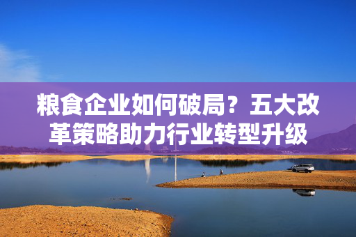 粮食企业如何破局？五大改革策略助力行业转型升级