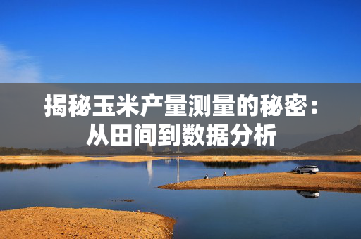 揭秘玉米产量测量的秘密：从田间到数据分析