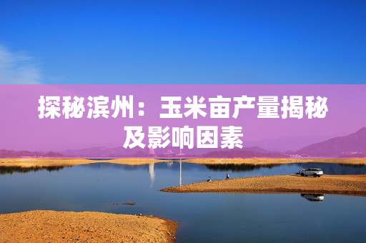 探秘滨州：玉米亩产量揭秘及影响因素