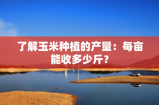 了解玉米种植的产量：每亩能收多少斤？