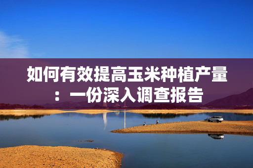 如何有效提高玉米种植产量：一份深入调查报告