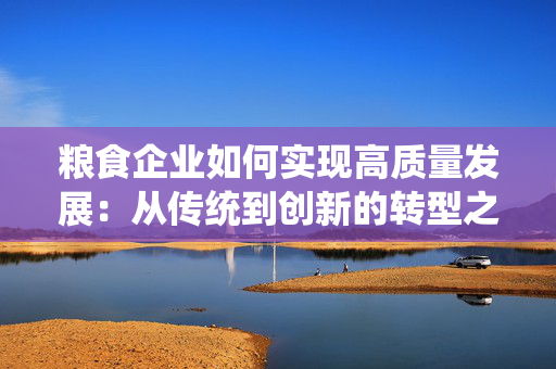 粮食企业如何实现高质量发展：从传统到创新的转型之路
