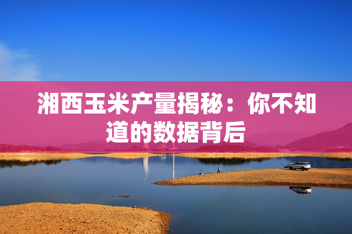 湘西玉米产量揭秘：你不知道的数据背后