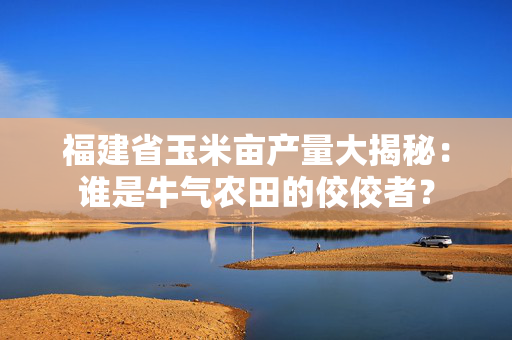 福建省玉米亩产量大揭秘：谁是牛气农田的佼佼者？