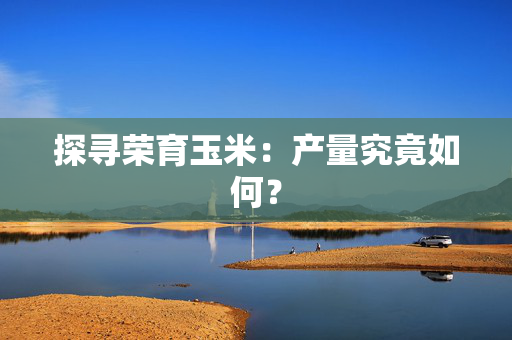 探寻荣育玉米：产量究竟如何？