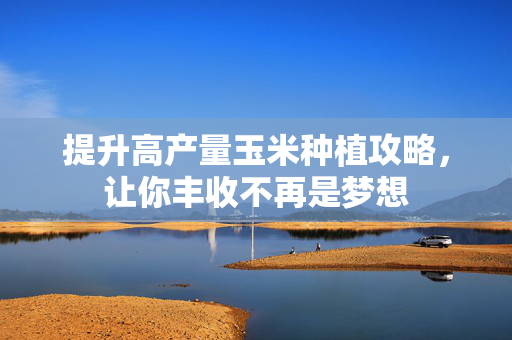 提升高产量玉米种植攻略，让你丰收不再是梦想