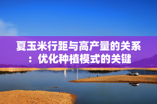 夏玉米行距与高产量的关系：优化种植模式的关键