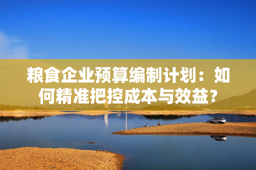 粮食企业预算编制计划：如何精准把控成本与效益？