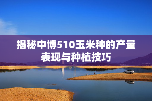 揭秘中博510玉米种的产量表现与种植技巧