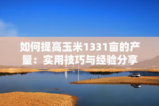 如何提高玉米1331亩的产量：实用技巧与经验分享