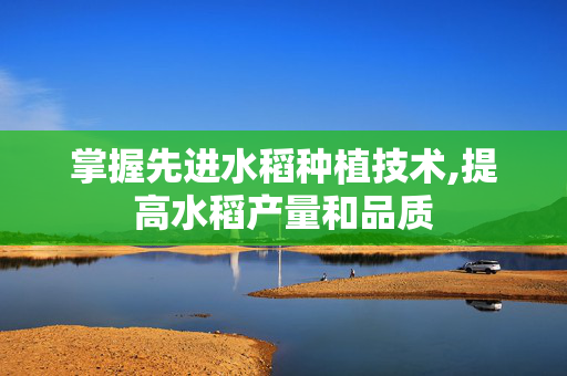 掌握先进水稻种植技术,提高水稻产量和品质