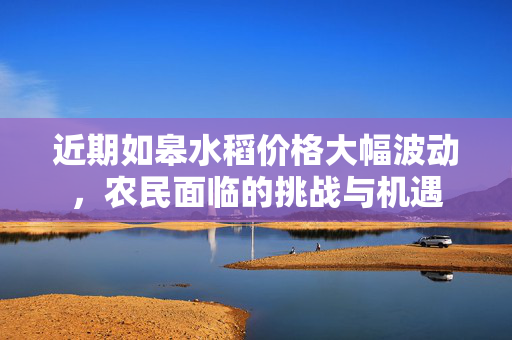 近期如皋水稻价格大幅波动，农民面临的挑战与机遇