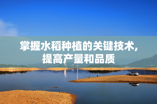 掌握水稻种植的关键技术,提高产量和品质