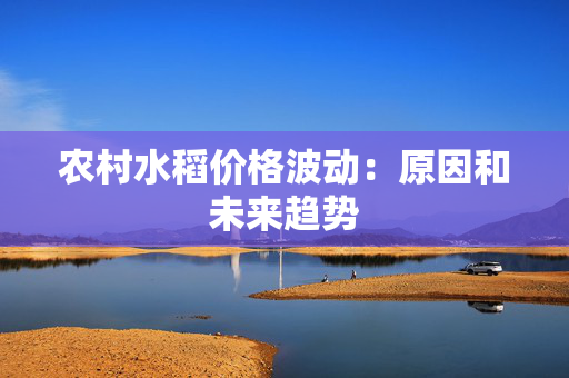 农村水稻价格波动：原因和未来趋势