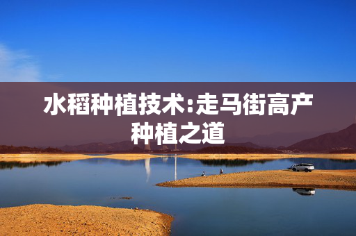 水稻种植技术:走马街高产种植之道