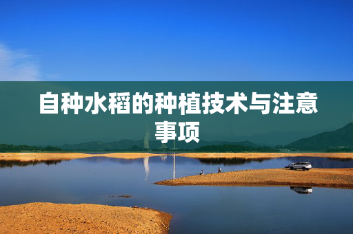 自种水稻的种植技术与注意事项