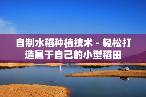 自制水稻种植技术 - 轻松打造属于自己的小型稻田