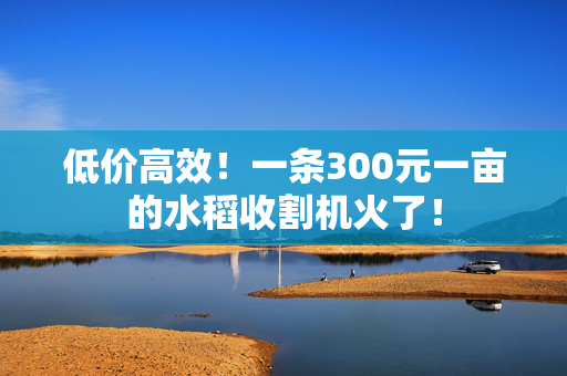 低价高效！一条300元一亩的水稻收割机火了！