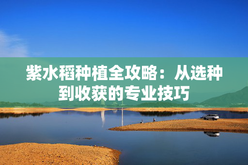 紫水稻种植全攻略：从选种到收获的专业技巧