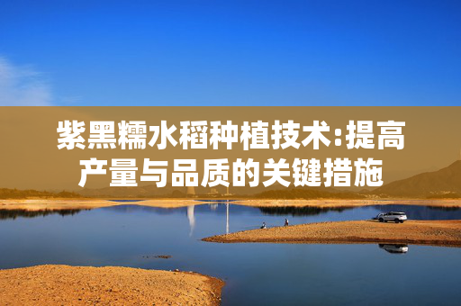 紫黑糯水稻种植技术:提高产量与品质的关键措施