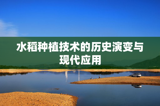 水稻种植技术的历史演变与现代应用