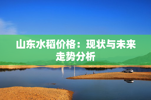 山东水稻价格：现状与未来走势分析