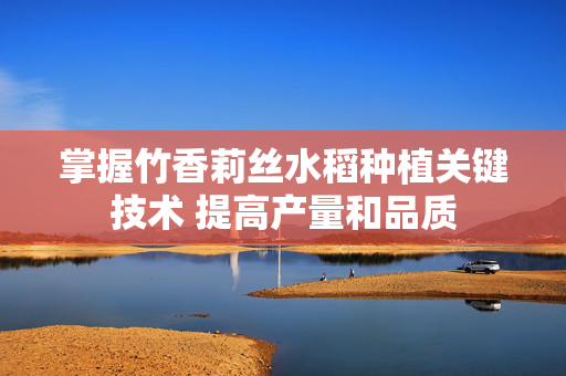 掌握竹香莉丝水稻种植关键技术 提高产量和品质