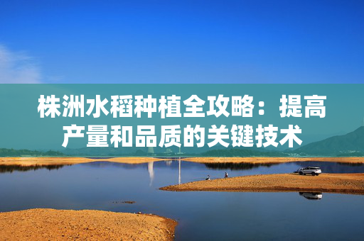 株洲水稻种植全攻略：提高产量和品质的关键技术