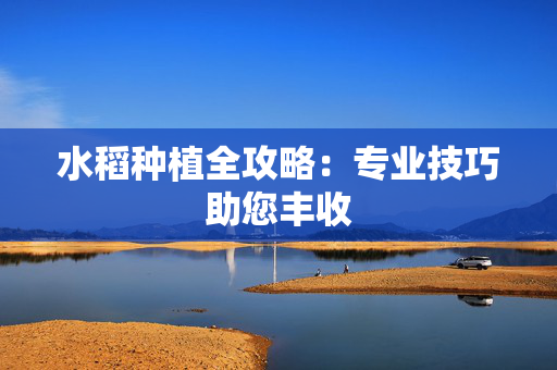 水稻种植全攻略：专业技巧助您丰收
