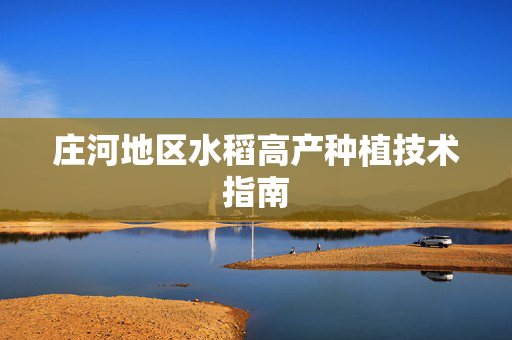 庄河地区水稻高产种植技术指南