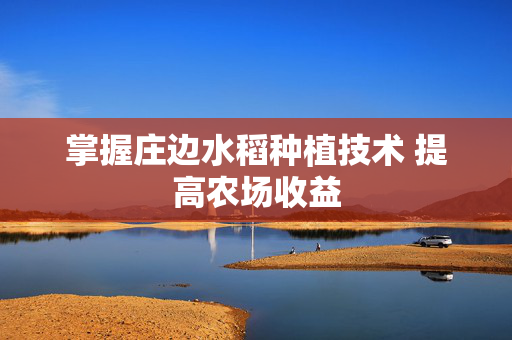 掌握庄边水稻种植技术 提高农场收益