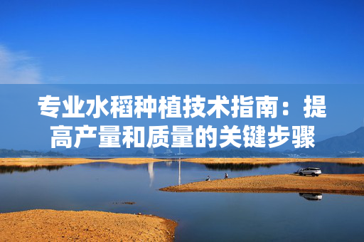 专业水稻种植技术指南：提高产量和质量的关键步骤