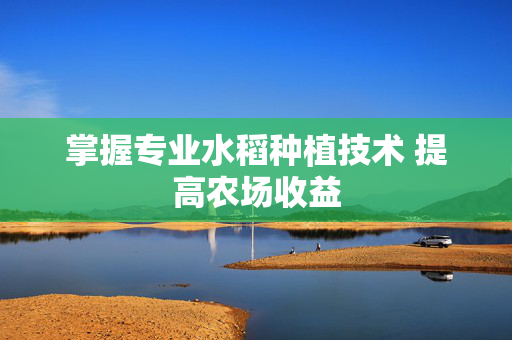 掌握专业水稻种植技术 提高农场收益