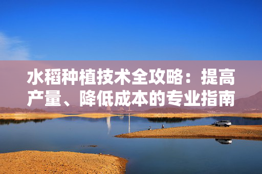 水稻种植技术全攻略：提高产量、降低成本的专业指南