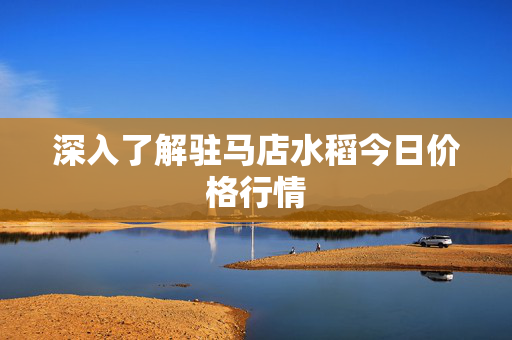 深入了解驻马店水稻今日价格行情