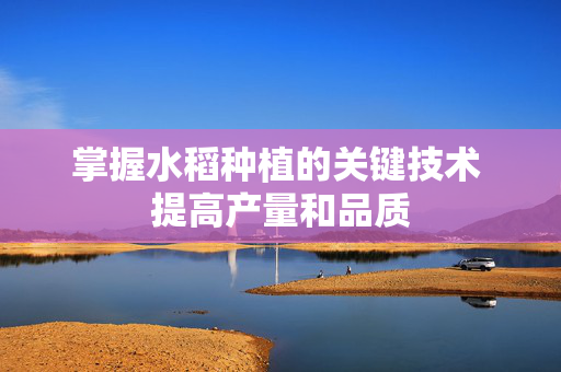 掌握水稻种植的关键技术 提高产量和品质