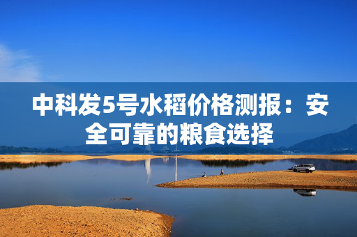 中科发5号水稻价格测报：安全可靠的粮食选择