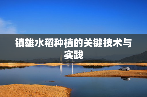 镇雄水稻种植的关键技术与实践