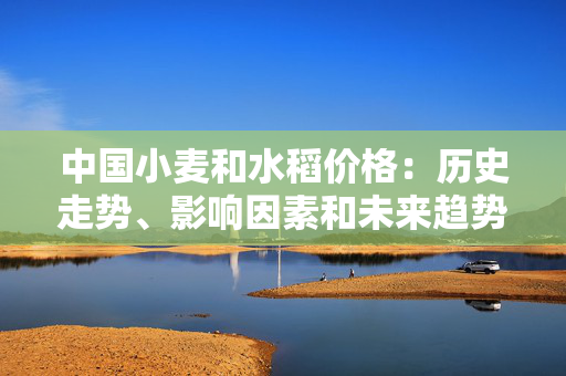 中国小麦和水稻价格：历史走势、影响因素和未来趋势
